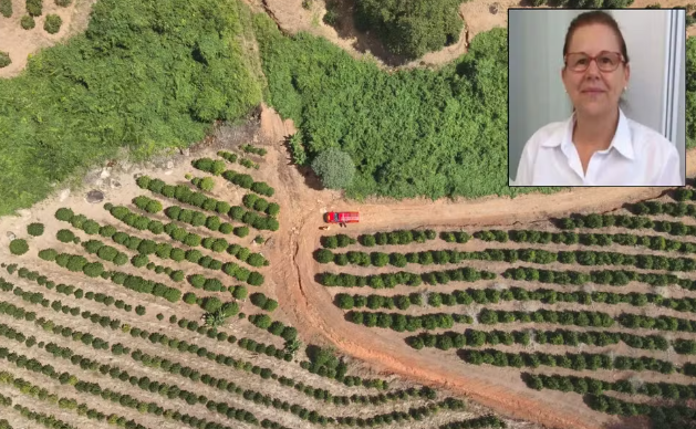 Farmacêutica desaparecida é encontrada morta após três dias de buscas na zona rural, em MG