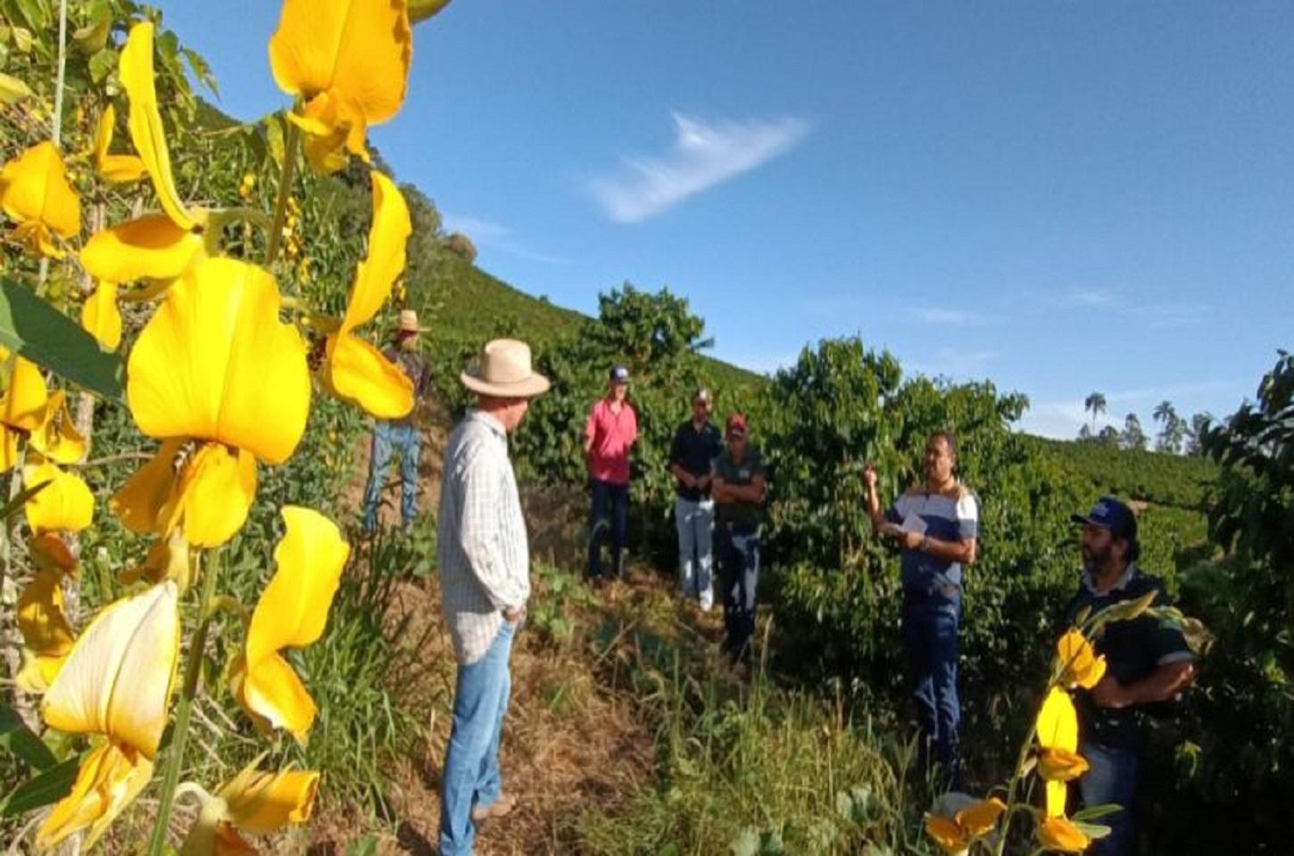 Projeto “Construindo Solos Saudáveis” atende produtores de café de Monte Sião