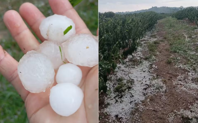 Chuva de granizo causa estragos e caos no Sul de Minas