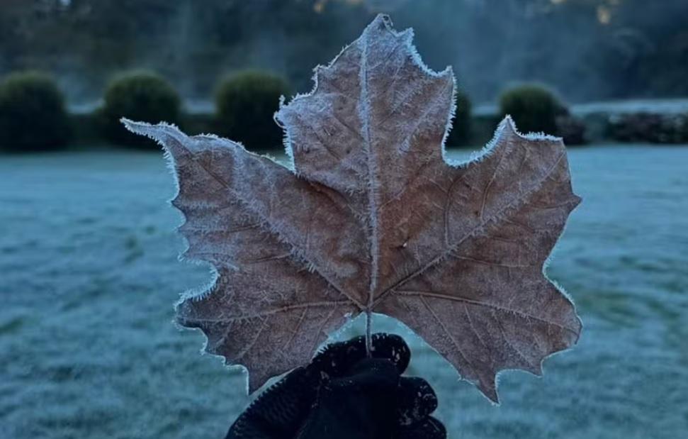 Sul de MG registra primeira geada do outono e amanhece com temperaturas próximas de 0°C
