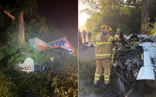 Motorista morre após carreta tombar e bater contra árvore na MG-290, entre Jacutinga e Ouro Fino, MG