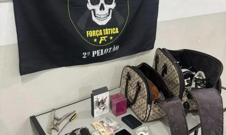 Ação conjunta prende criminosos de furtos em Monte Sião após mobilização de moradores e polícia