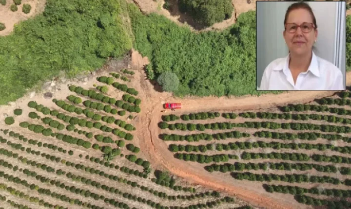 Farmacêutica desaparecida é encontrada morta após três dias de buscas na zona rural, em MG