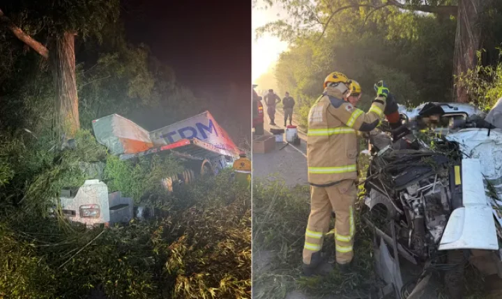 Motorista morre após carreta tombar e bater contra árvore na MG-290, entre Jacutinga e Ouro Fino, MG