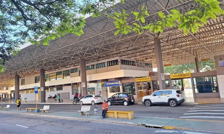 Passageira flagra baratas em ônibus da Saritur no Sul de Minas