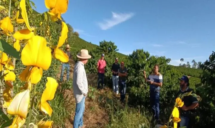 Projeto “Construindo Solos Saudáveis” atende produtores de café de Monte Sião