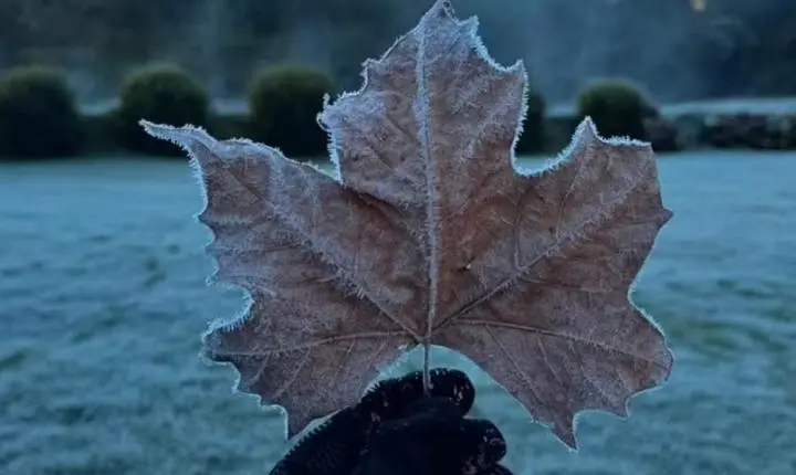 Sul de MG registra primeira geada do outono e amanhece com temperaturas próximas de 0°C
