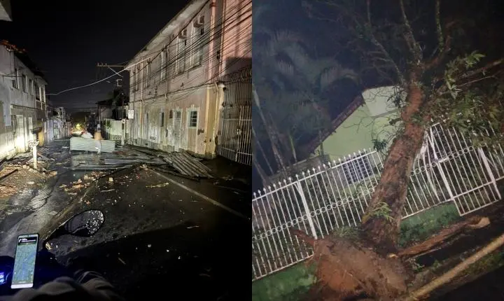 Temporal em Varginha derruba árvores e causa apagão em vários bairros